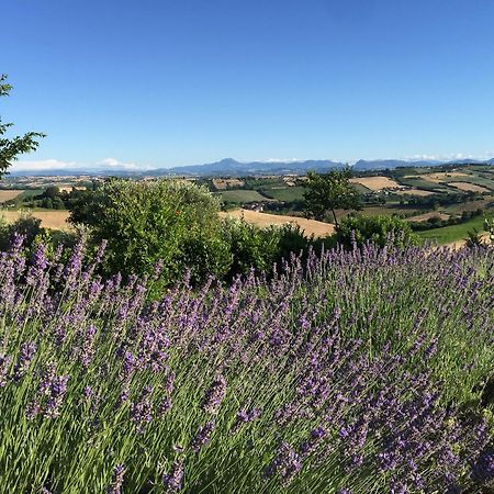 Solea Relais Di Charme- Adults Only Guest House Trecastelli ภายนอก รูปภาพ