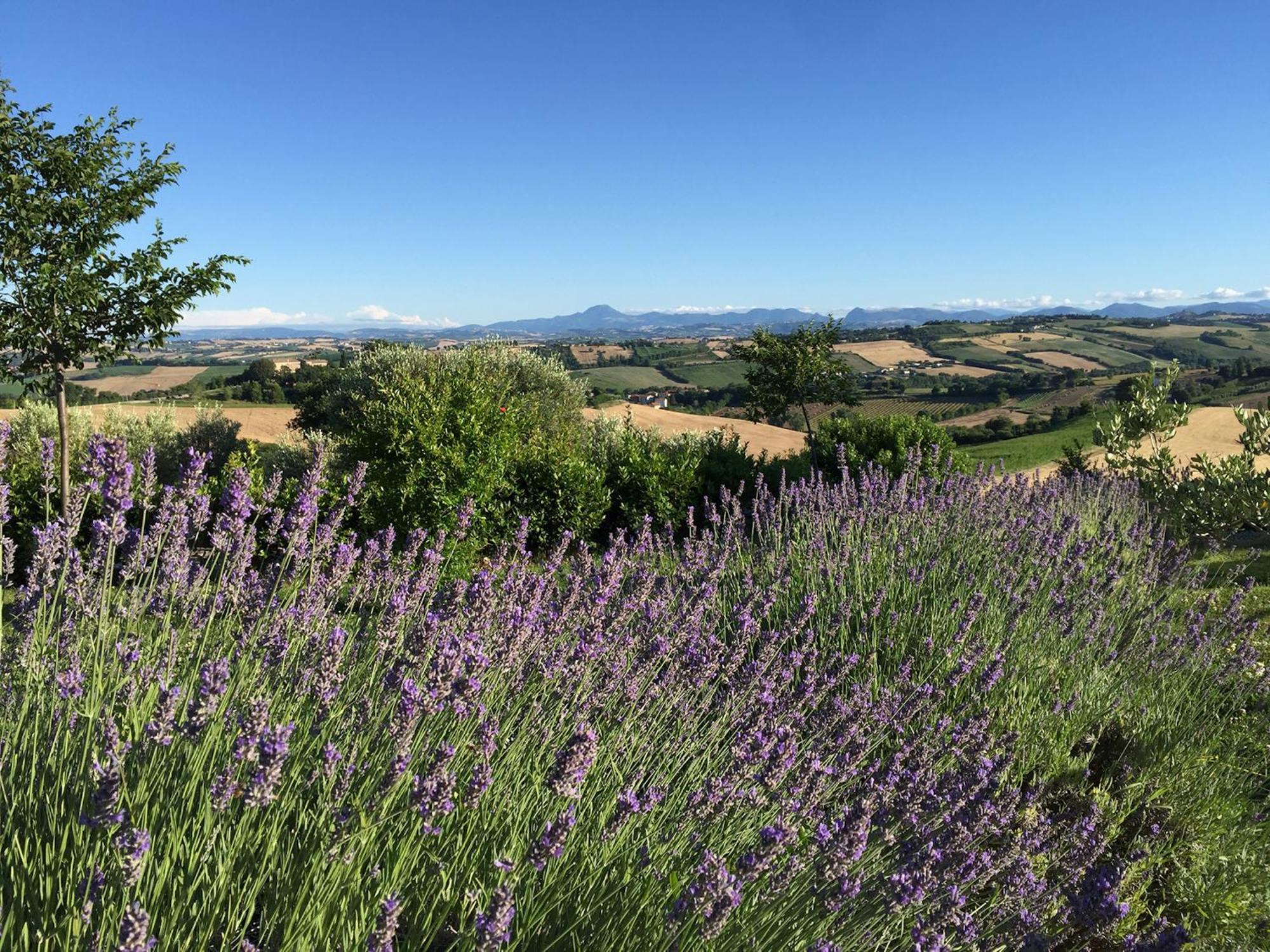 Solea Relais Di Charme- Adults Only Guest House Trecastelli ภายนอก รูปภาพ